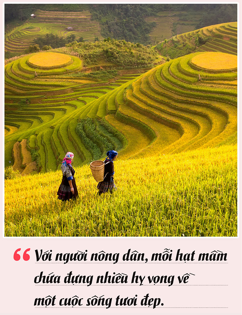Tinh thần người Việt gói gọn trong chữ 'bền'